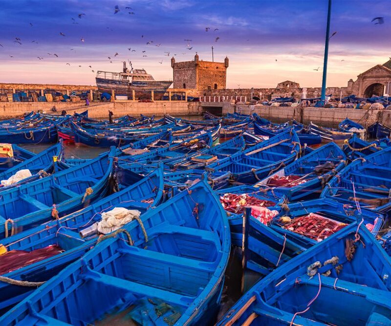 essaouira day trip