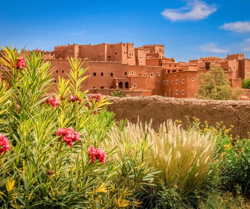 ouarzazatte day tour