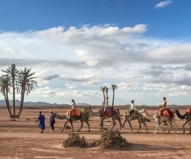 marrakech camel ride