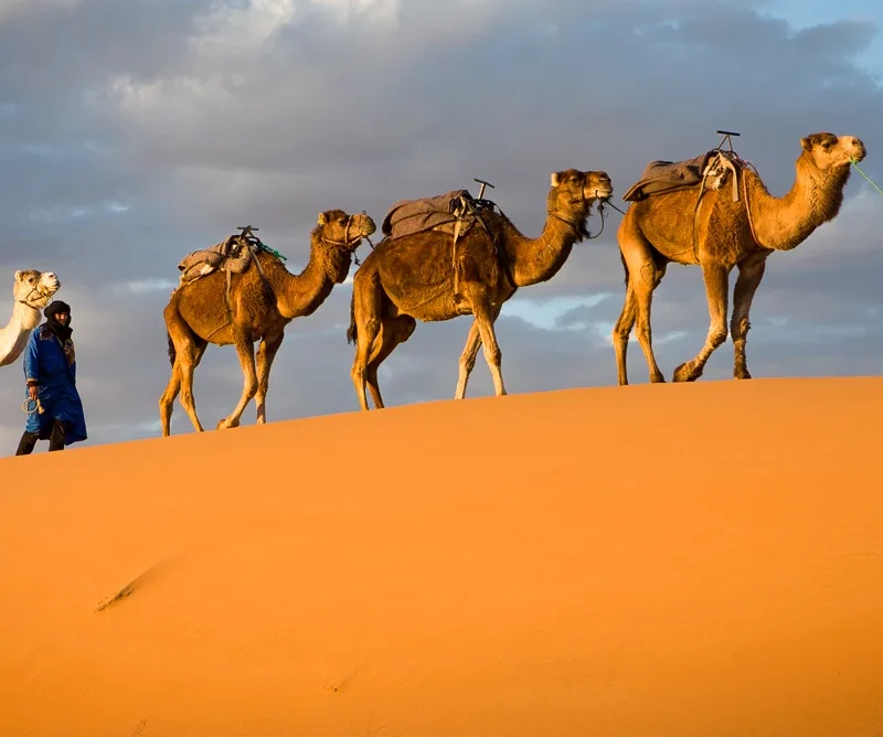 desert tour from marrakech 4 days