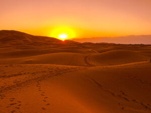 zagora desert tour