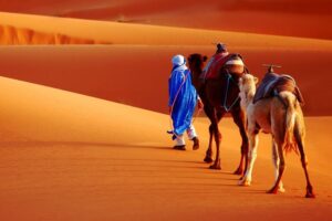 sahara desert tour 3 days