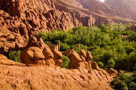 desert tour 3 days